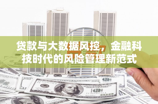 新营贷款与大数据风控，金融科技时代的风险管理新范式