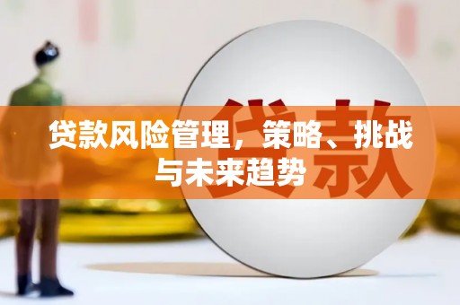 新营贷款风险管理，策略、挑战与未来趋势