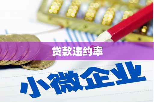 新营贷款违约率
