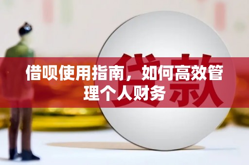 新营借呗使用指南，如何高效管理个人财务