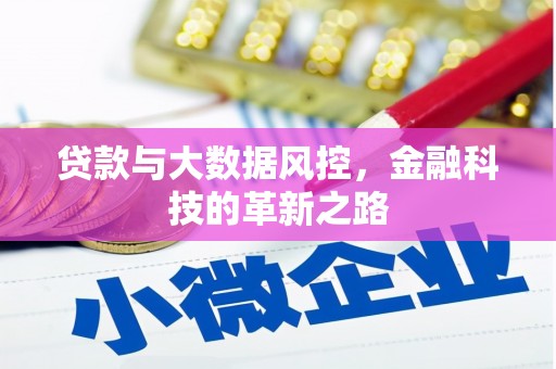 新营贷款与大数据风控，金融科技的革新之路