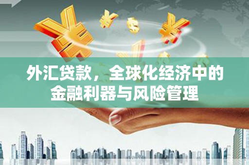 新营外汇贷款，全球化经济中的金融利器与风险管理