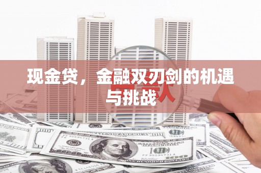 新营现金贷，金融双刃剑的机遇与挑战