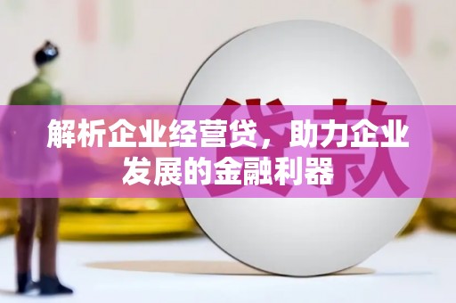 新营解析企业经营贷，助力企业发展的金融利器