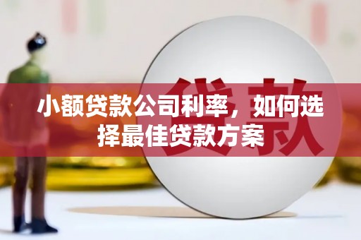新营小额贷款公司利率，如何选择最佳贷款方案