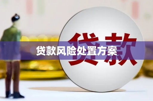 新营贷款风险处置方案