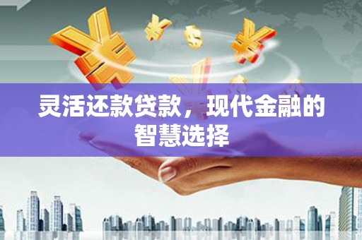 新营灵活还款贷款，现代金融的智慧选择
