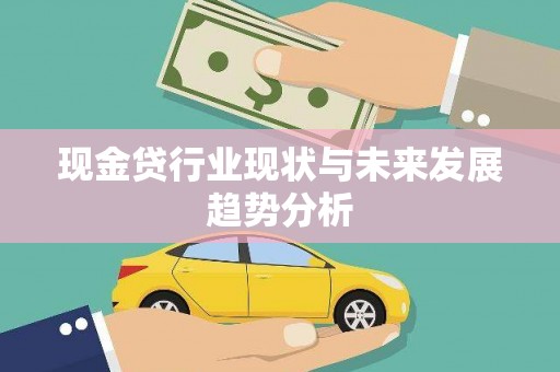 新营现金贷行业现状与未来发展趋势分析