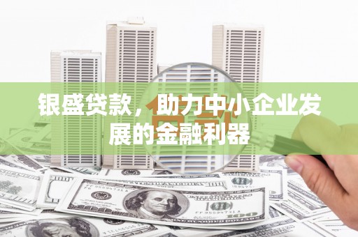 新营银盛贷款，助力中小企业发展的金融利器