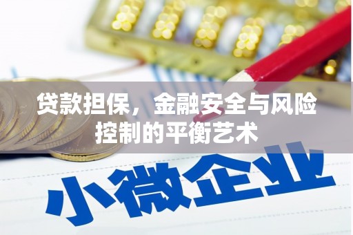 新营贷款担保，金融安全与风险控制的平衡艺术