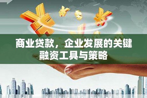 新营商业贷款，企业发展的关键融资工具与策略