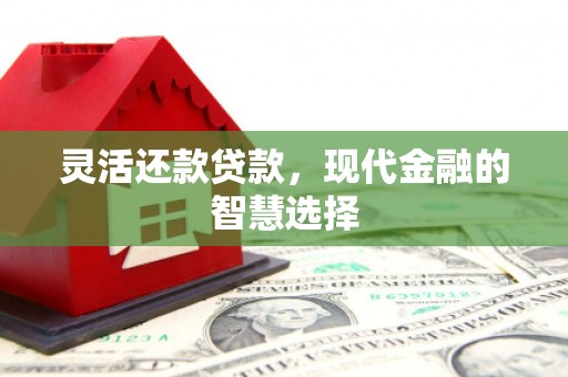 新营灵活还款贷款，现代金融的智慧选择