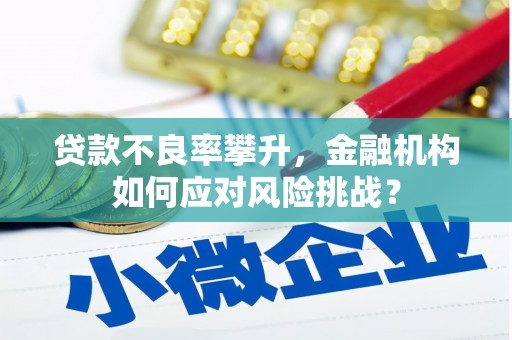 新营贷款不良率攀升，金融机构如何应对风险挑战？
