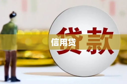 新营信用贷