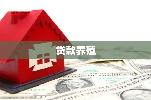 新营贷款养殖