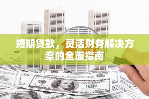 新营短期贷款，灵活财务解决方案的全面指南