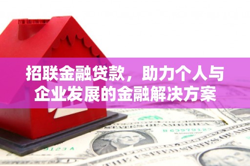 新营招联金融贷款，助力个人与企业发展的金融解决方案