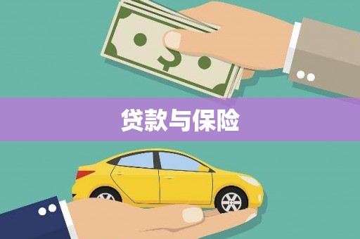 新营贷款与保险