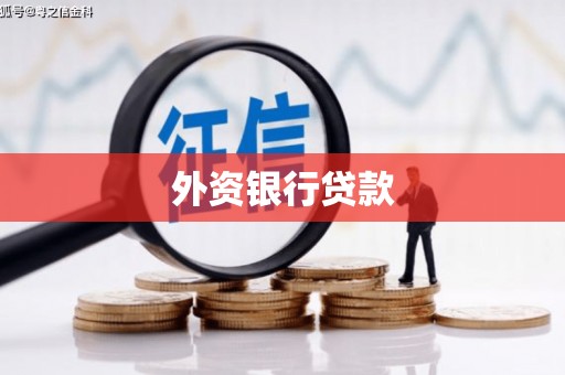 新营外资银行贷款