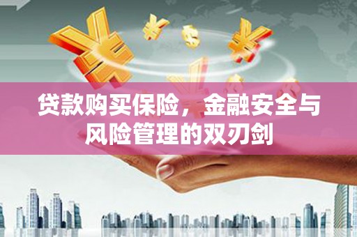 新营贷款购买保险，金融安全与风险管理的双刃剑