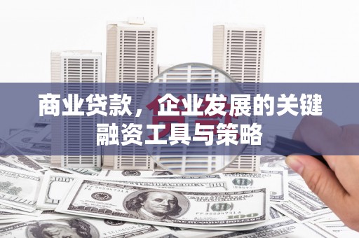 新营商业贷款，企业发展的关键融资工具与策略