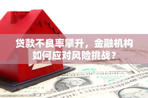 新营贷款不良率攀升，金融机构如何应对风险挑战？