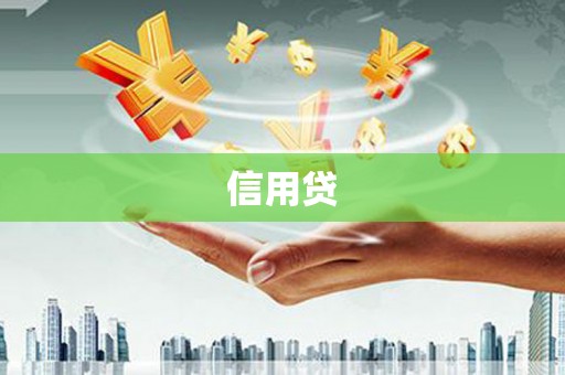 新营信用贷