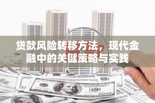 新营贷款风险转移方法，现代金融中的关键策略与实践