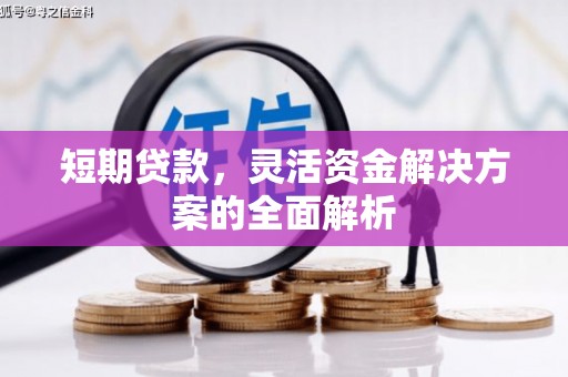 新营短期贷款，灵活资金解决方案的全面解析