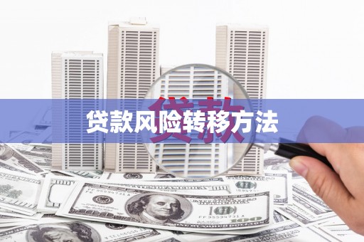 新营贷款风险转移方法