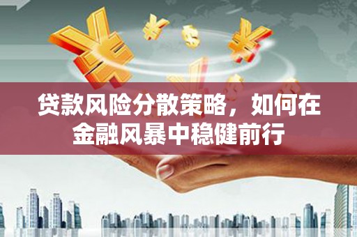 新营贷款风险分散策略，如何在金融风暴中稳健前行
