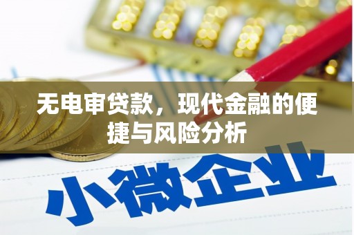 新营无电审贷款，现代金融的便捷与风险分析