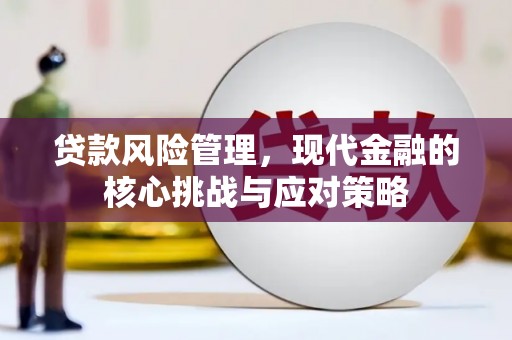 新营贷款风险管理，现代金融的核心挑战与应对策略