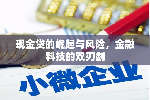 新营现金贷的崛起与风险，金融科技的双刃剑