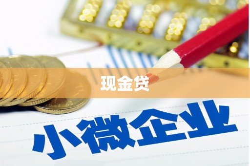 新营现金贷