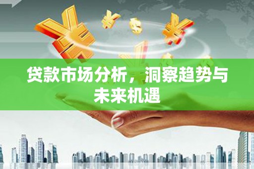 新营贷款市场分析，洞察趋势与未来机遇