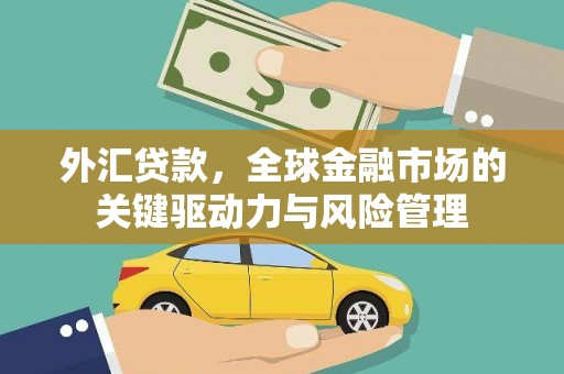 新营外汇贷款，全球金融市场的关键驱动力与风险管理