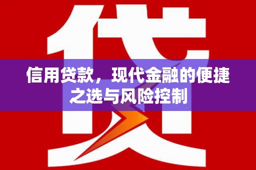 新营信用贷款，现代金融的便捷之选与风险控制