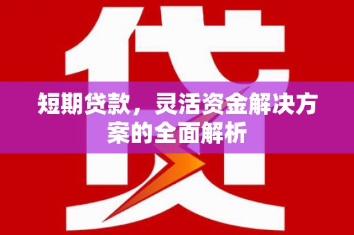 新营短期贷款，灵活资金解决方案的全面解析