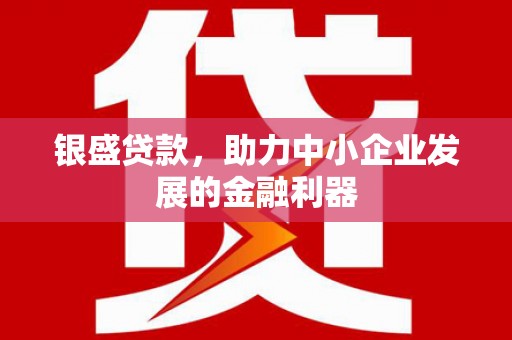新营银盛贷款，助力中小企业发展的金融利器