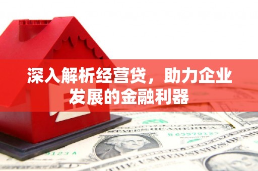 新营深入解析经营贷，助力企业发展的金融利器