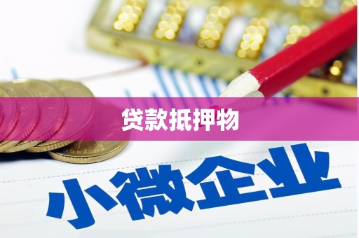 新营贷款抵押物