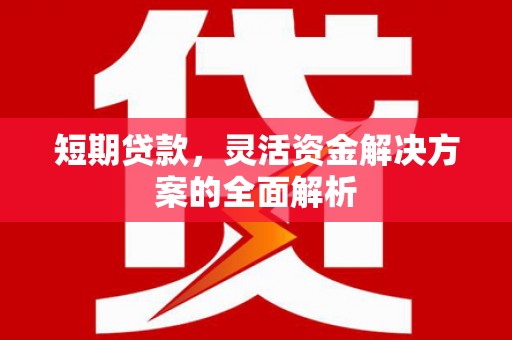 新营短期贷款，灵活资金解决方案的全面解析