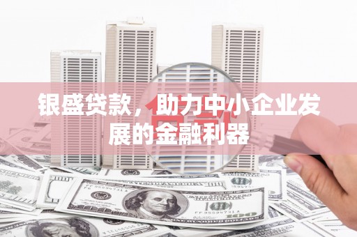 新营银盛贷款，助力中小企业发展的金融利器