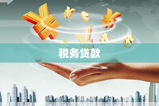 新营税务贷款