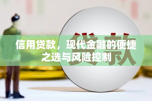新营信用贷款，现代金融的便捷之选与风险控制