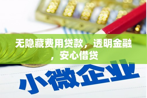 新营无隐藏费用贷款，透明金融，安心借贷