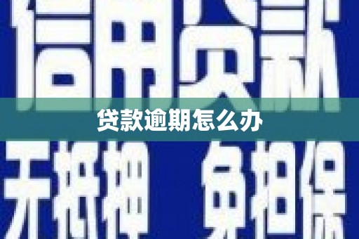 新营贷款逾期怎么办