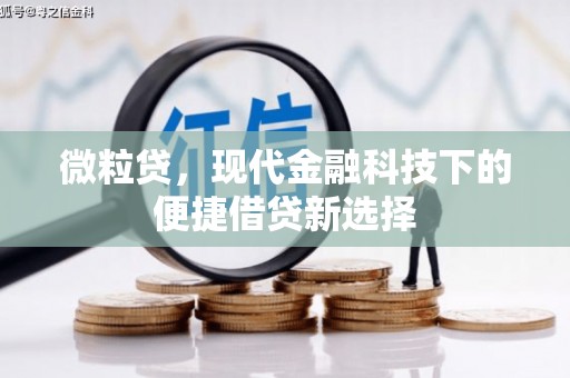 新营微粒贷，现代金融科技下的便捷借贷新选择
