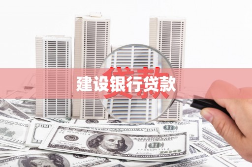 新营建设银行贷款